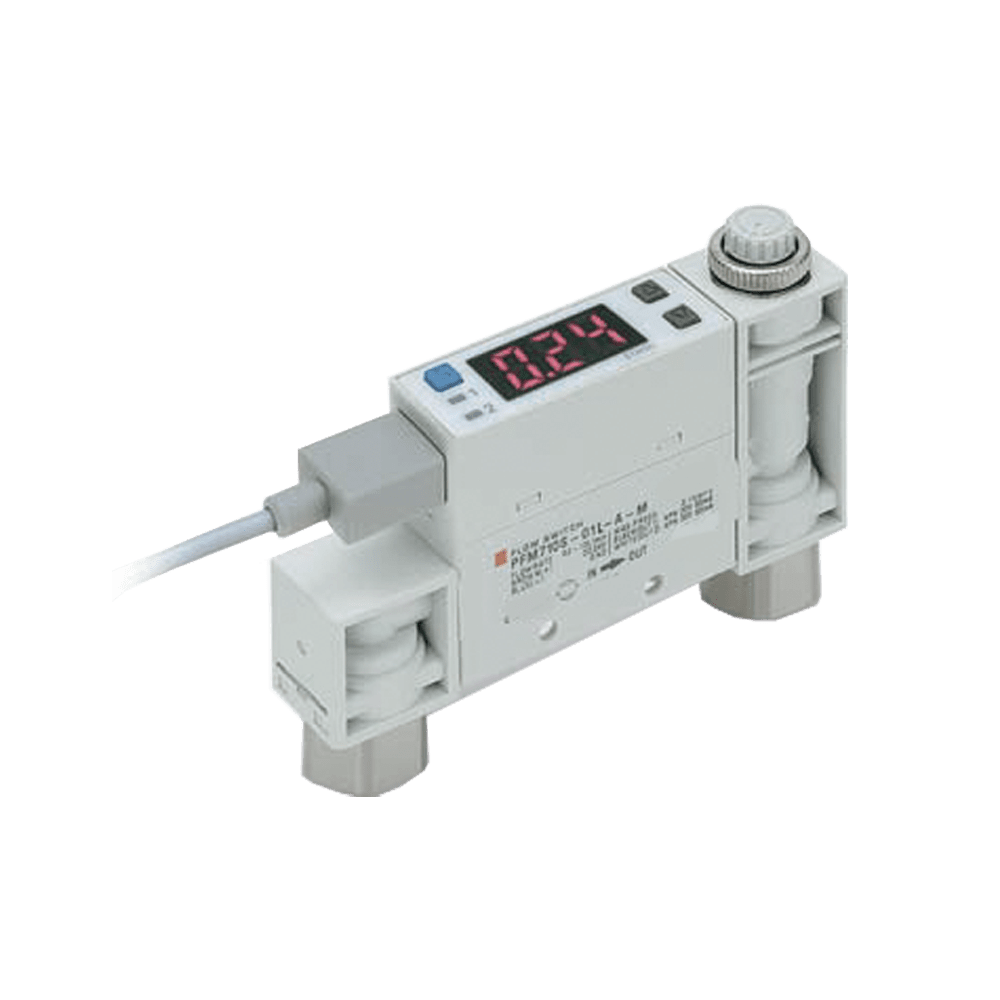 PFM Series Digital Flow Switch